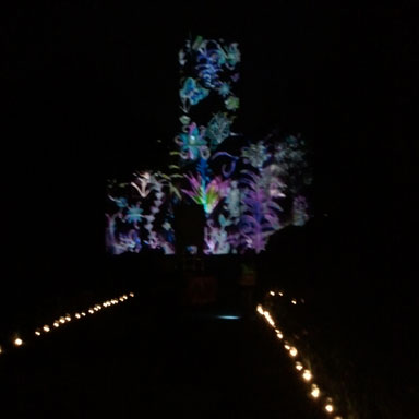 St Day Lantern Parade